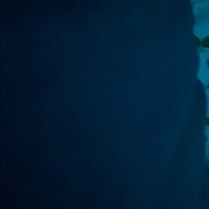 Meet your Posher, Kiki